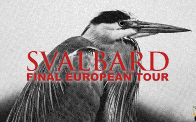 Svalbard (UK) – Final European Tour